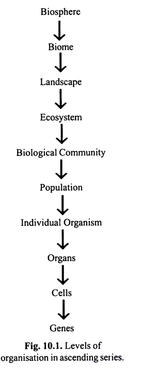 Levels of organisation in ascending series