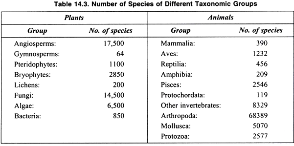 Number of species of different taxonomic groups