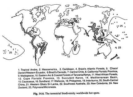 Terrsetrial biodiversity worldwide ot spots