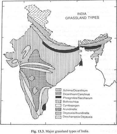 Major Grassland Types of India 