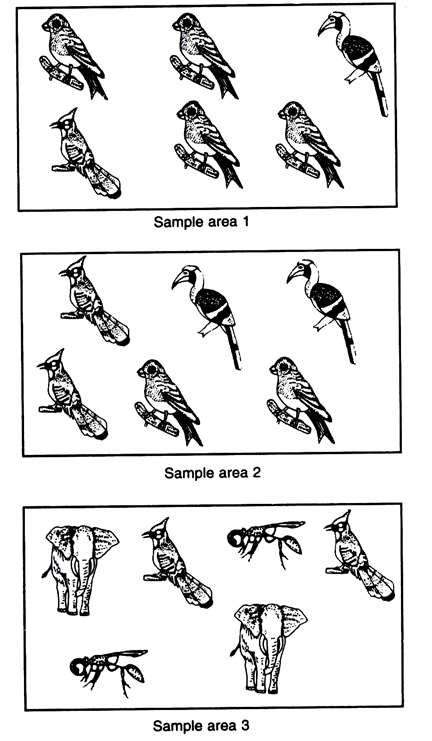 Sample area 1,2 and 3