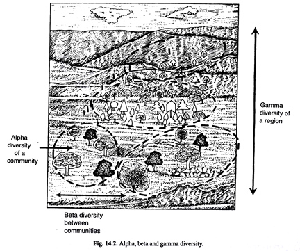 Alpha, beta and gamma diversity