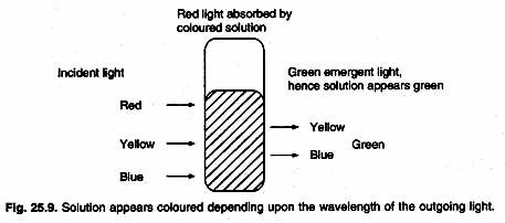 Flow of energy at different levels of ecosystem