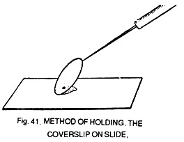 Method of Holding