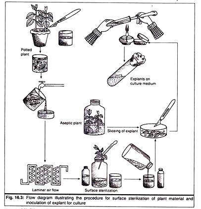 Procedure for Surface Sterilization