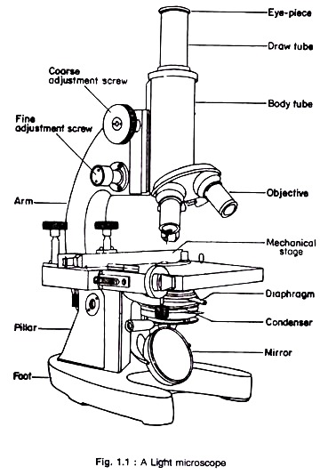 Light Microscope