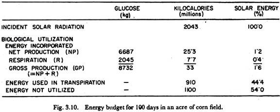 Energy Budget