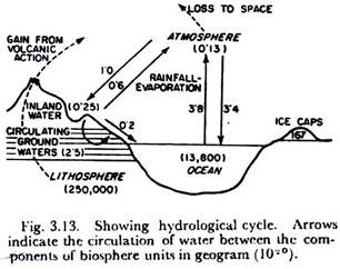 Hydrological Cycle