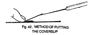 Method of Putting