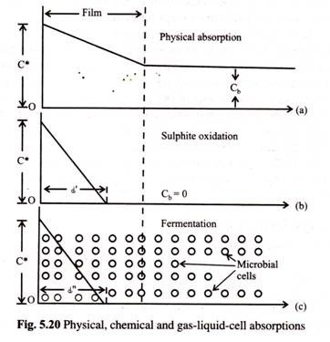 Early Prophase