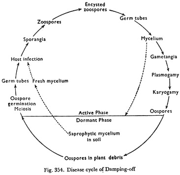 Disease Cycle of Damping-off