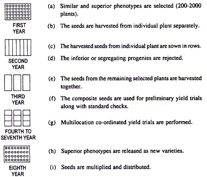 Modified Procedure of Mass Selection