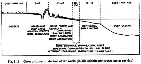 Gross Primary Production