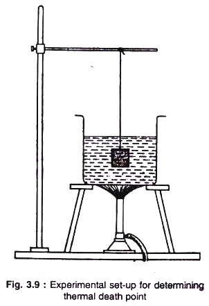 Experiment set-up for determining thermal death point