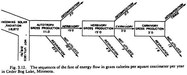 Sequences of the Fate of Energy Flow