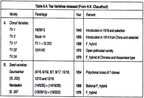 Tea Varieties