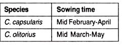 Species and Sowing Time