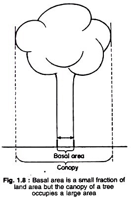 Basal Area is a Small Fraction of Land Area but the Canopy of a Tree Occupies a Large Area 