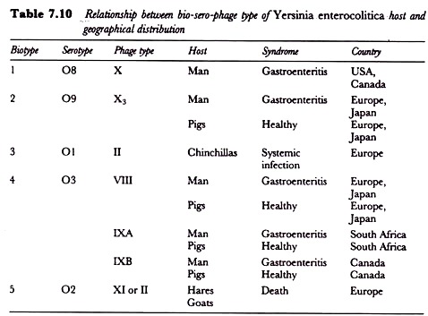 Relationship between Bio-Sero-Phage Type of Yersinia Enterocolitica Host and Geographical Distribution