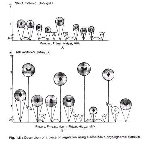 Descripition of a pice of vegetation using Dansereau's physiognomic symbols