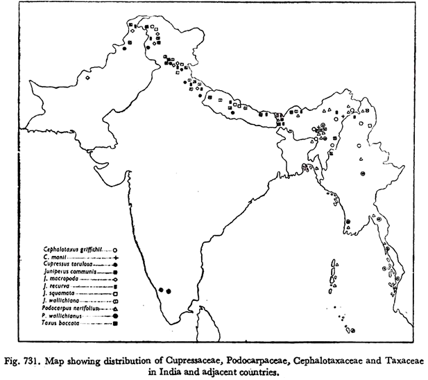 Map Showing Distribution of Cupressaceae, Podocarpaceae, Cephalotaxaceae and Taxaceae in India and Adjecent Countries