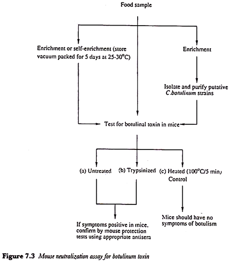 Mouse neutralization assay for botulinum toxin