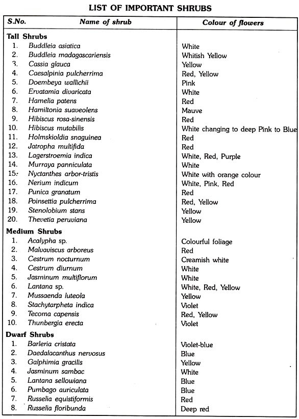 List of Important Shrubs