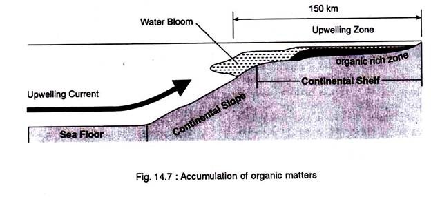 Accumulation of organic matters