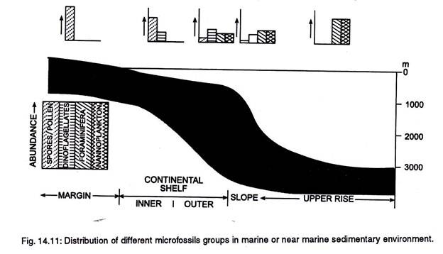 Distribution of microfossils groups in marine