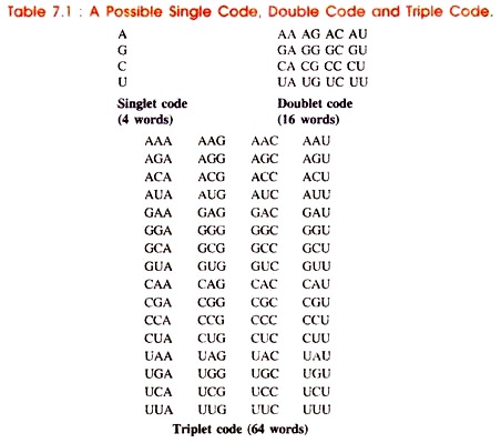 Possible Single Code, Double Code and Triple Code