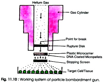 Working System of Particle Bombardment Gun