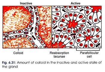 Amount of Colloid