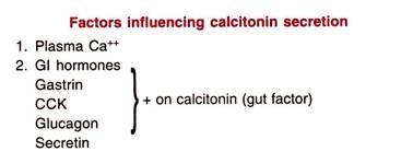 Factors Influencing Calcitonin Secretion