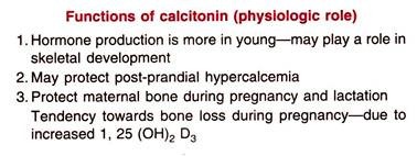 Functions of Calcitonin