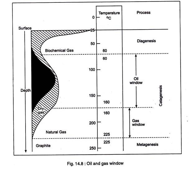 Oil and Gas Window