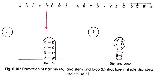 Formation of Hair Pin