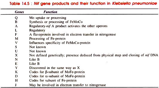 Nif Gene Products