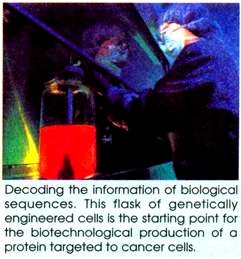 Decoding the information of Biological Sequences