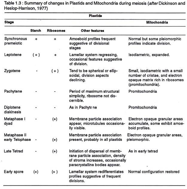 Changes in plastids and mitochondria during meiosis