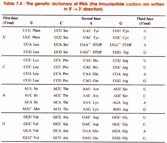 Genetic Dictionary of RNA