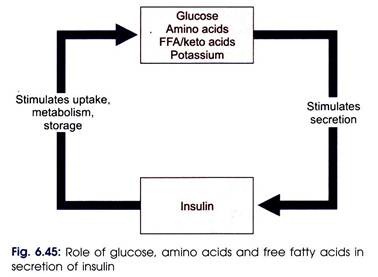 Role of Glucose, Amino Acids and Free Fatty Acids in Secretion of Insulin