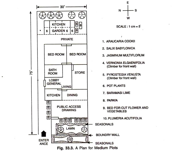 Plan for Medium Plots