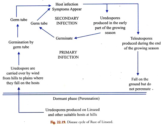 Disease Cycle of Rust of Linseed