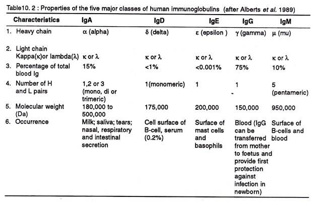 Properties of major classes of human immunoglobulins