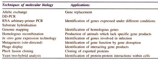 Techniques of Molecular Biology which determine Genes involved in Bacterial Infection