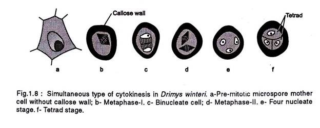 Simultaneous tyoes of cytokinesis