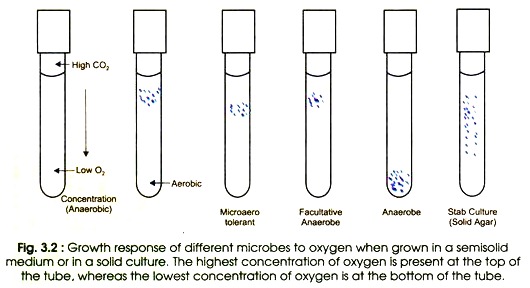 Growth Response of Different Microbes