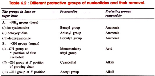 Different Protective Groups of Nueleotides and their Removal