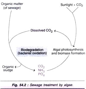 Hydrogen Bonding