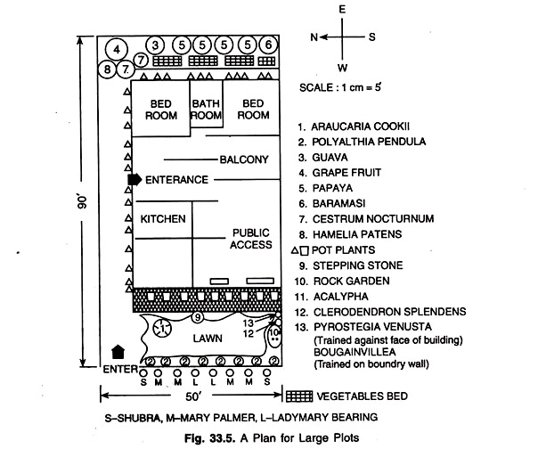 Plan for Large Plots